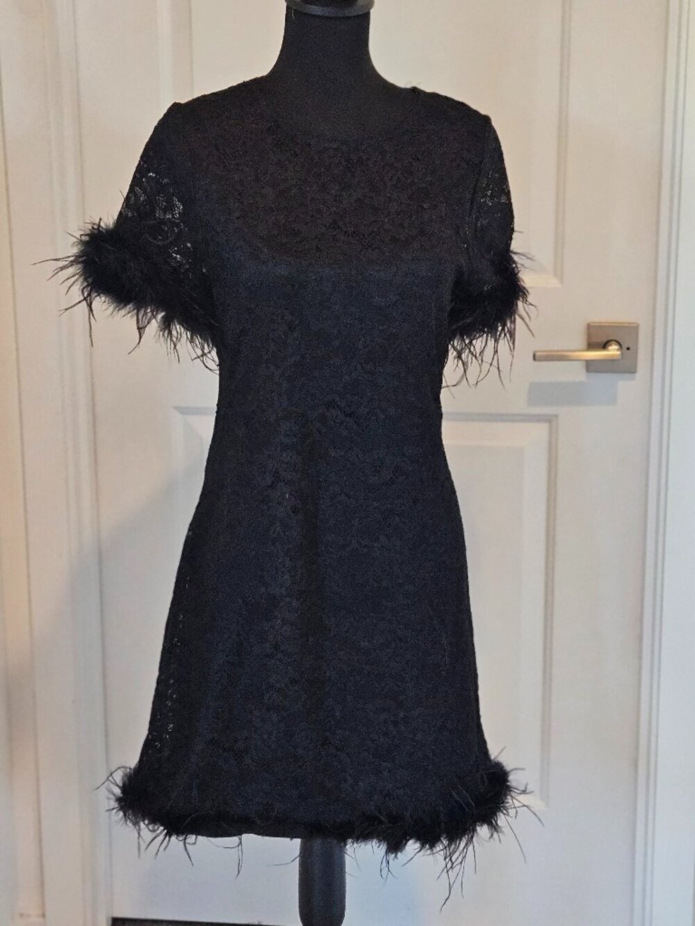 NWT WAYF Alina Ostrich Feather Floral Lace Minidress Black L - Picture 8 of 14